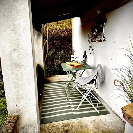 Morning Star - St Ignatius House La Lastra